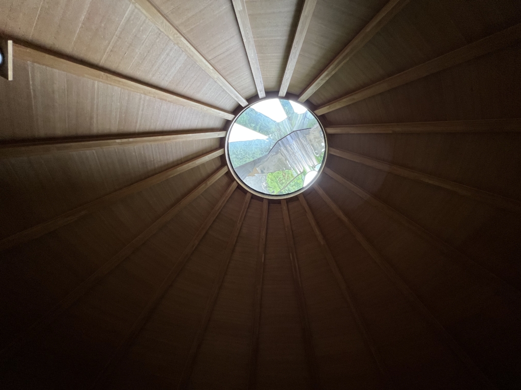 ベリースコープの天井
